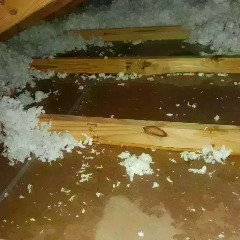 Attic Water Damage in Fairmead, CA